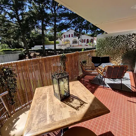 Sous Les Pins, Au Calme Avec Terrasse Proche Apartment